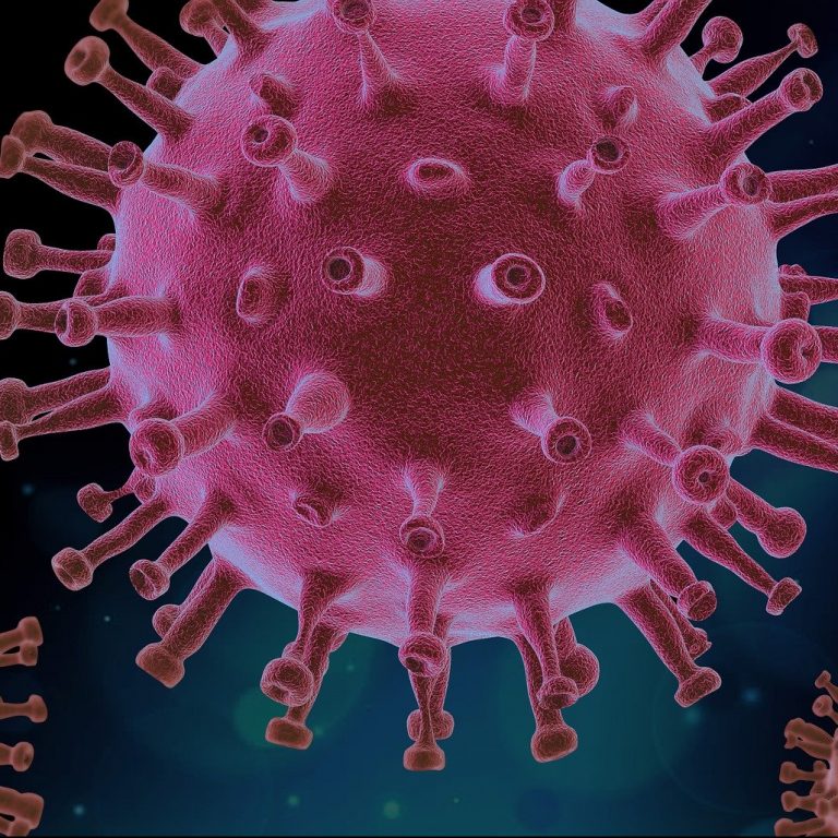 coronavirus