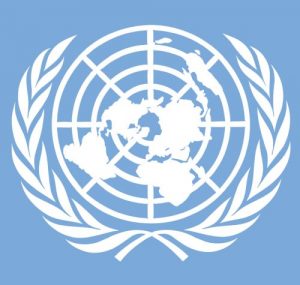 logo VN-verdrag Handicap